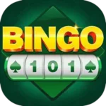 BINGO 101